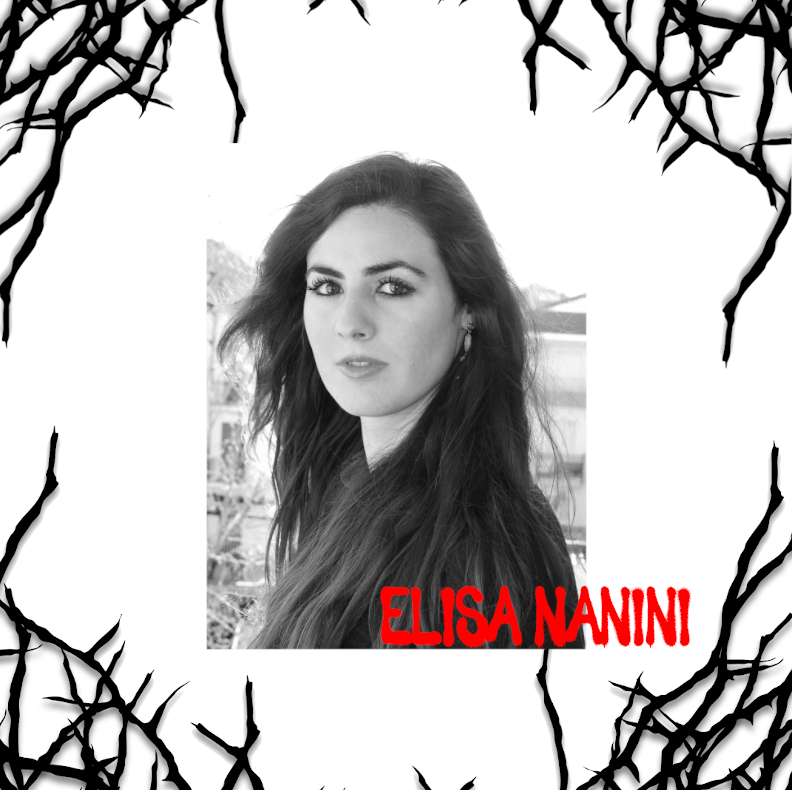 Elisa Nanini – «Cosa resta dei vetri»